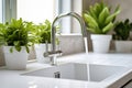 White kitchen faucet with a white sink and green plants in a stylish modern kitchen