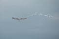 White kite flying in the sky Royalty Free Stock Photo