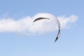 White kiteboarding kite on the background of a white cloud in the blue sky Royalty Free Stock Photo