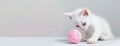 a white kitten as it plays gleefully with a pink ball of yarn against a soft pastel background, ensuring high-quality