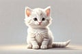 White kitten on a light background the cat is looking at the camera Royalty Free Stock Photo