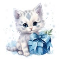A white kitten sitting next to a blue gift box. Christmas winter cat. Royalty Free Stock Photo