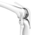 White knee joint, menisci and ligaments, medically 3D illustration