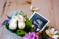 White knitted booties and ultrasound picture, baby girl waiting concepts Royalty Free Stock Photo