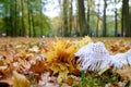 White knitted delicate scarf autumn leaves