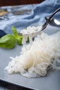 White konjac shirataki noodles, gluten free and no fat diet vegetarian and vegan Asian food Royalty Free Stock Photo