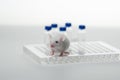 A white laboratory mouse with an immunological plate and vials.