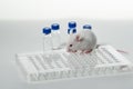A white laboratory mouse with an immunological plate and vials.
