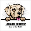 White Labrador - vector peeking dog head, dog breed Royalty Free Stock Photo