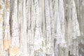 White lace background, wedding concept, female summer fashion