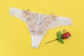 white lace pantie with beige knot and decorated with red flower on yellow background. Royalty Free Stock Photo