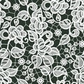 White Lace Vector Seamless Pattern. Floral Pattern. Royalty Free Stock Photo