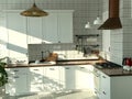 white laconic kitchen Scandinavian style with a mosaic on the floor and a black tap and plants in the interior