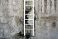 White ladder on a vintage cement wall style lichen water natural patterned texture background natural