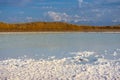 White lake, covered with salt Royalty Free Stock Photo