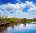 White Lake at Cullinan Park in sugarland Texas Royalty Free Stock Photo