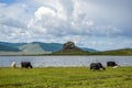 White Lake, Khorgo Volcano and Mongolian Yaks