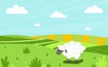 White lamb chews grass on a green meadow