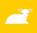 White lamb isolated. Little yeanling vector illustration