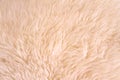 White lambskin as background Royalty Free Stock Photo