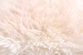 White lambskin as background Royalty Free Stock Photo