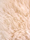 White lambskin as background Royalty Free Stock Photo