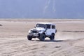 White Land Cruiser Hardtop