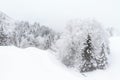 White landscape snow brandnertal Royalty Free Stock Photo