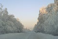 Winter icy road in the snow-covered forest Royalty Free Stock Photo