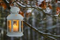 White lantern hanging on fir branch in forest.