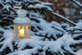 White lantern standing on fir branch in forest