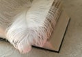 The white large feather of an ostrich lies on the opened book. Royalty Free Stock Photo