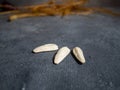 White large seeds on a black background. Sunflower seeds