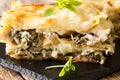 White lasagna with chicken, forest mushrooms, cheese and bechame Royalty Free Stock Photo