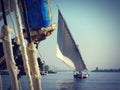 White sail on the Nile, felucca, Luxor, Egypt Royalty Free Stock Photo