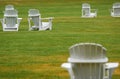White Lawn Chairs Looking On