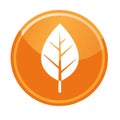 White Leaf Icon in Orange Circle Button: Isolated Nature Environment Symbol Royalty Free Stock Photo