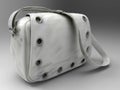 White leather bag Royalty Free Stock Photo