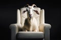 A white leather luxury armchair with a funny goat sitting on it