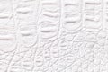 White leather texture background, closeup. Reptile skin, macro Royalty Free Stock Photo