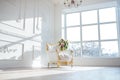 White leather vintage style chair in classical interior room with big window and spring flowers Royalty Free Stock Photo