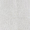 White leatherette texture for background.