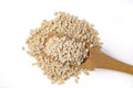 White Lentils Urad Dal. White Lentils with wooden spoon Royalty Free Stock Photo
