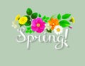 White lettering spring like ribbon. Background decorated by dandelions, chamomiles Royalty Free Stock Photo