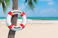 White Life Buoy with Welcome Aboard Sign Hanging on a Palm Tree on an Sand Beach. 3d Rendering Royalty Free Stock Photo