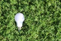 A white light bulb for lighting lies in the grass. Royalty Free Stock Photo