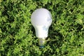 A white light bulb for lighting lies in the grass. Royalty Free Stock Photo