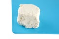 White light cheese Royalty Free Stock Photo