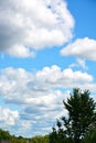 White light clouds float across the blue sky above the treetops. Beautiful atmospheric phenomenon. Natural vertical background