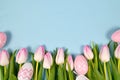 White and light pink tulip spring flowers and cute easter eggs in a row at bottom of light blue background with blank copy space Royalty Free Stock Photo
